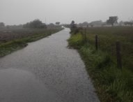 Maltempo a Fano: chiusi sottopassi e strade periferiche, traffico rallentato
