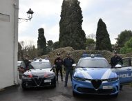 Fano, rapina aggravata al Pincio: arrestati due giovani tunisini