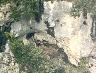 Furlo, telecamere e sale multimediali per osservare il nido dell’aquila reale