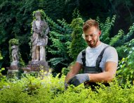 Giardiniere d’arte per parchi storici, si aprono le iscrizioni al corso di Formart Marche e CNA