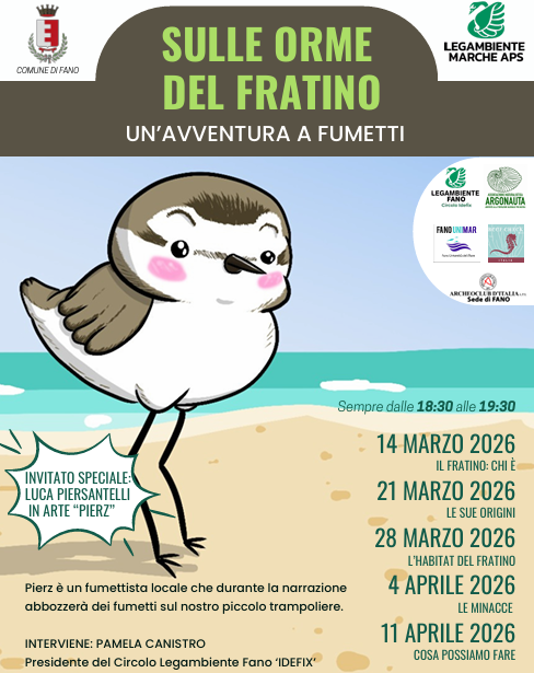 A Fano entra nel vivo la tutela del fratino e degli habitat costieri