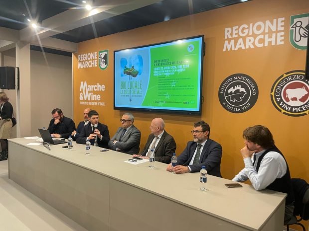 Il vino biologico delle Marche protagonista al Vinitaly 2026