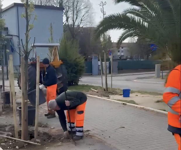 Fano, in corso il piano di piantumazione: 130 nuove piante in diverse zone della città
