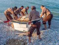 16esima Festa della Tratta e Tratta all’alba tra gli eventi estivi di Malarupta