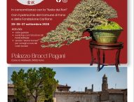 A Fano la Mostra sull’arte dei Bonsai