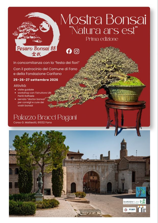 A Fano la Mostra sull’arte dei Bonsai