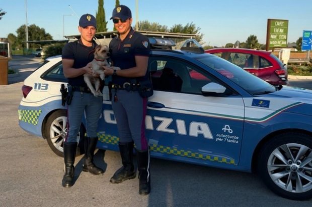 La polizia stradale di Fano salva cane smarrito nell’area di servizio Esino est