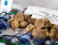 Pergola, Bruno Barbieri protagonista del gran finale della 29esima Fiera del Tartufo Bianco Pregiato