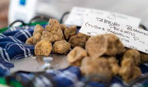 Pergola, Bruno Barbieri protagonista del gran finale della 29esima Fiera del Tartufo Bianco Pregiato