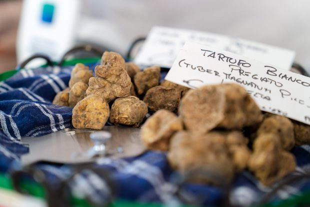 Pergola, Bruno Barbieri protagonista del gran finale della 29esima Fiera del Tartufo Bianco Pregiato
